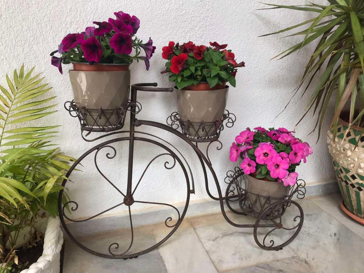 Makis Studios & Apartments Poros  Luaran gambar